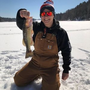 Meet your Posher, Mikey